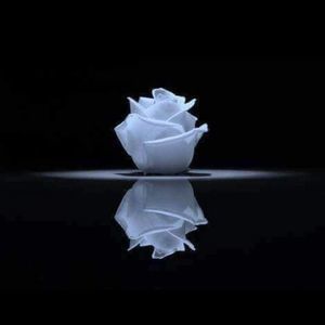 Meet your Posher, Loretta